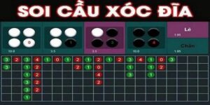 Các Loại Cầu Xóc Đĩa Phổ Biến